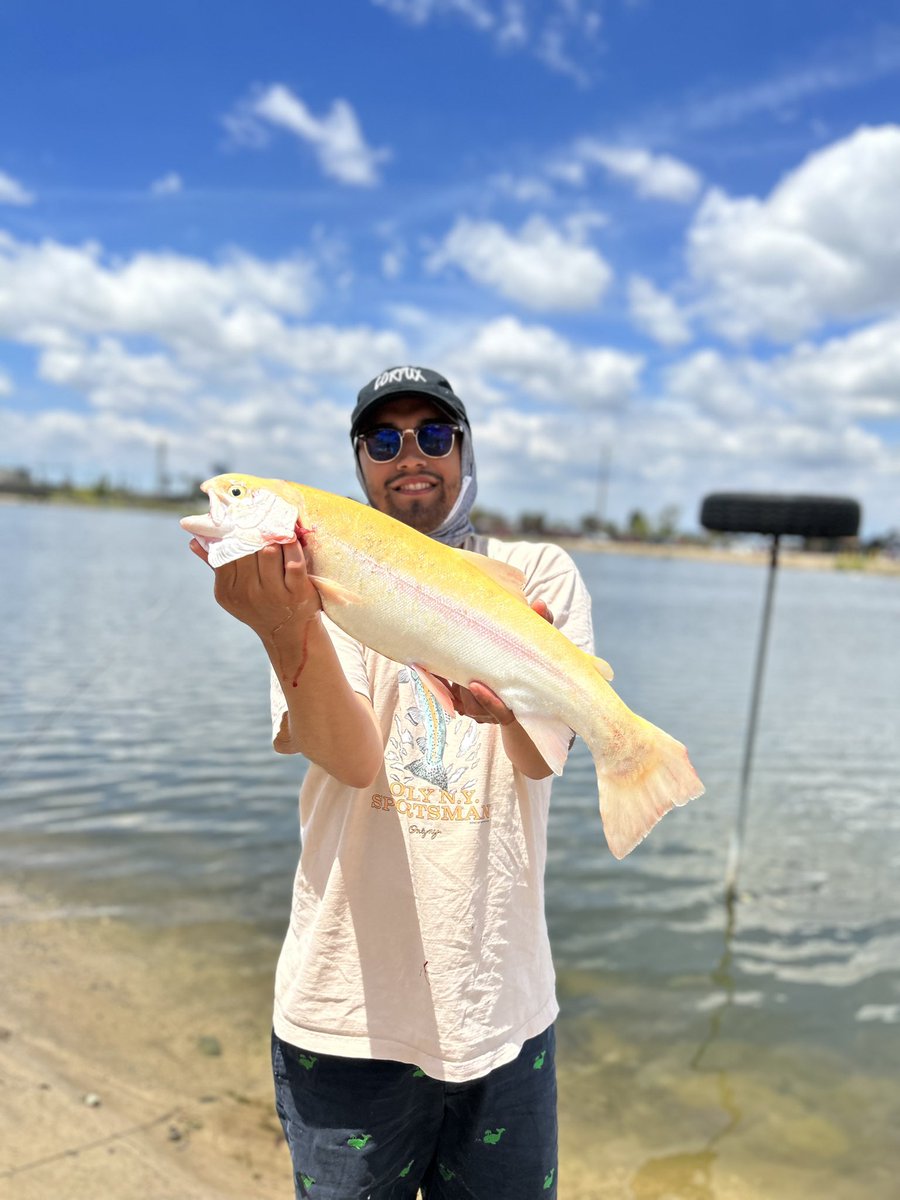 SoCalOrca's tweet image. ⚡️