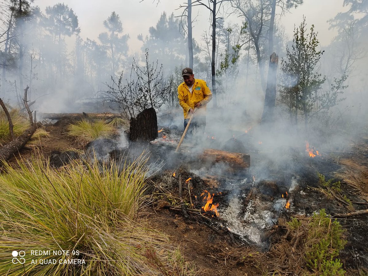 En #Morelos se mantienen activos 4 incendios forestales en los municipios de #Tepoztlán límites con #Tlayacapan; #Cuernavaca, #Huitzilac y uno de carácter interestatal entre los límites con los municipios de Amacuzac y Buenavista de Cuéllar en Morelos y Guerrero,respectivamente