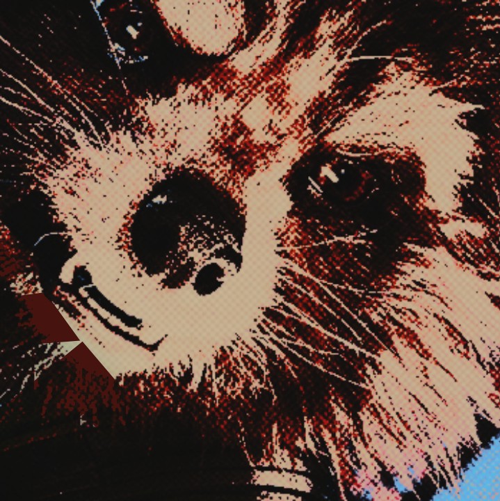 ᅟ ᅟᅟ𐍂⏁CKE⌿ᅟ━ᅟ🅡AC⃫CO✶𝙽ᅟ ᅟᅟ (@caprockie) on Twitter photo 