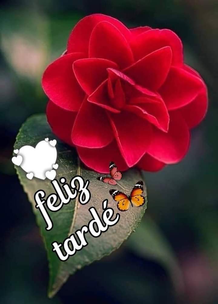 María de los Angeles Perez Martinez (@pzangeles_) on Twitter photo 