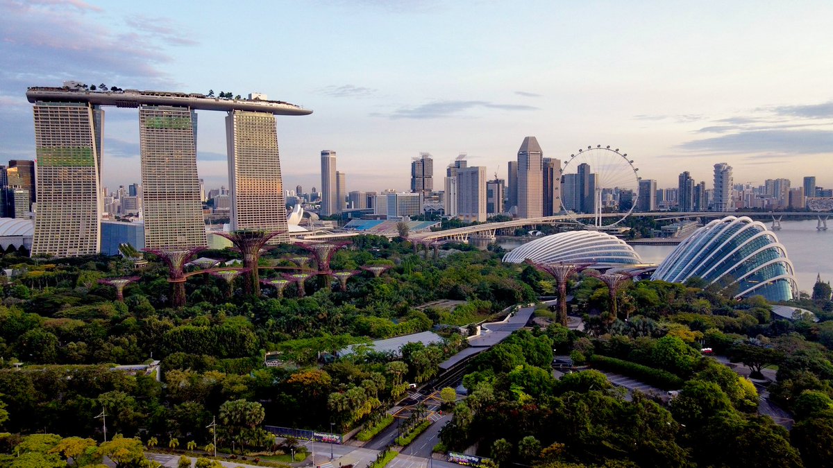 George Peppou tweet media