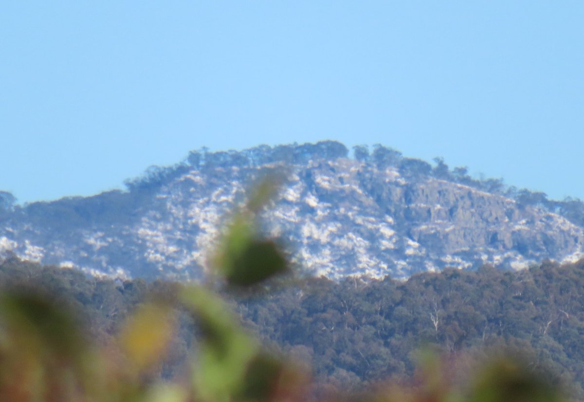 wapple15's tweet image. Monday morning #FocusGames #Canberra #SnowGood ❄️😎