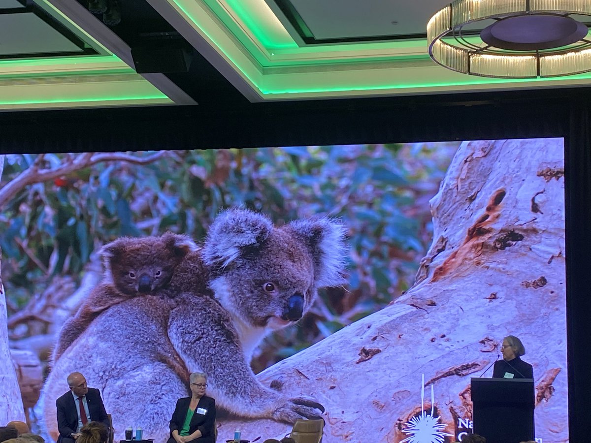 Human health requires environmental health. Inspiring to hear about coming environment policy changes from <a href="/tanya_plibersek/">Tanya Plibersek</a> <a href="/PennySharpemlc/">Penny Sharpe</a> at <a href="/naturensw/">Nature Conservation Council of NSW</a> business breakfast. Great to connect with other health professionals too <a href="/DocsEnvAus/">Doctors for the Environment Australia</a> Thanks <a href="/CarolynLoton/">Carolyn Loton</a> <a href="/JuntosMarketing/">Juntos Marketing</a>!