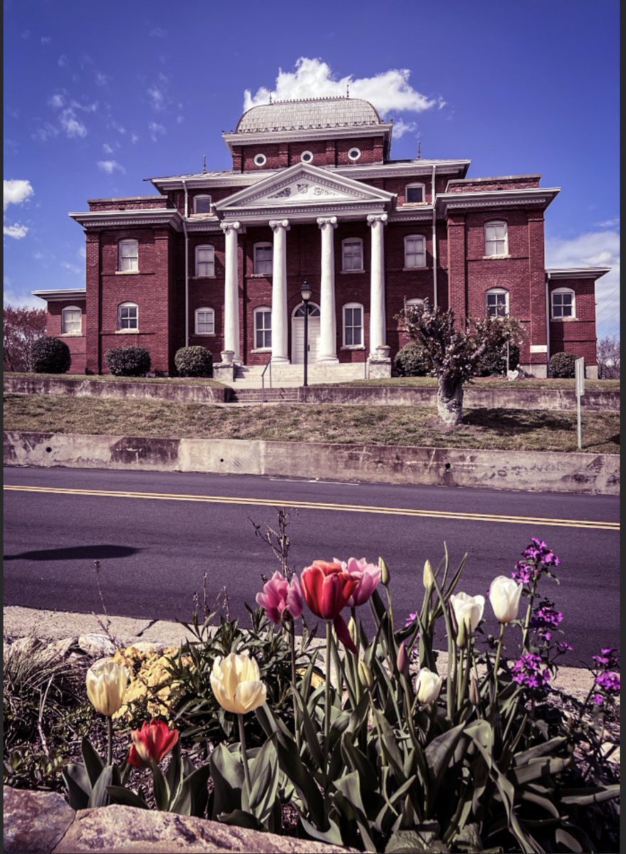 aagordonphotos's tweet photo. “Out the Window” #photography #amazingaagphotography #spring #springtime #flowers #Danbury #DanburyNC #bluesky #blueskies #oldcourthouse #schoolboard #historical #history #stokescounty #compositions https://t.co/tQm1TtZgg1
