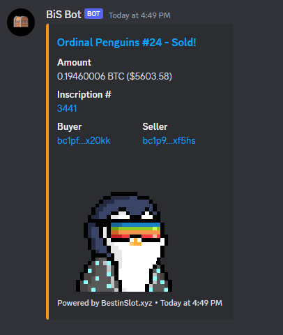 Ordinal Penguins tweet media