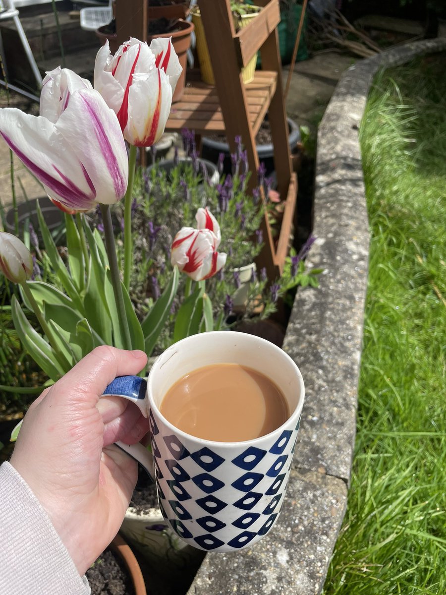 Nothing beats a cuppa in the garden 🥰
#cuppa #garden #tulips #favoriteplace