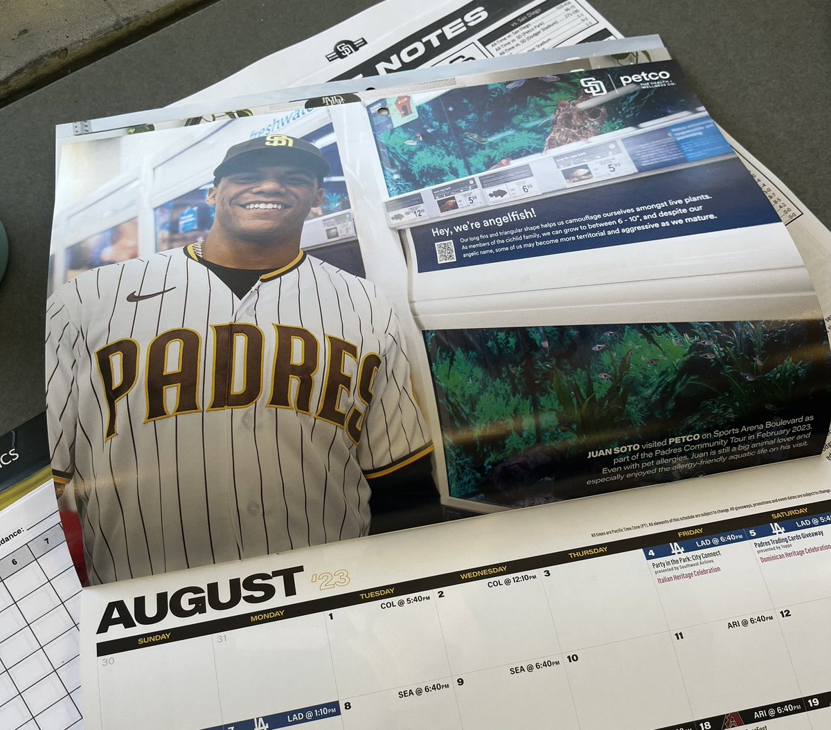 Alden_Gonzalez's tweet photo. The Padres gave away a dog calendar for today’s game. Every month features a picture with a player and his dogs — except August. Juan Soto, who has pet allergies, instead went to a nearby pet store and took his in front of a fish tank. https://t.co/KdHzbdZDOX