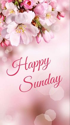 sherisa7's tweet photo. @blancef @AngelaG40003830 @ThibaultMarieF1 @PamelaS89319506 @Patrici48022002 @gabriella_maki @JoyceBr57456249 @Sandieed08 @Hisloveliftedme Amen ππ½π€π
O Lord, my Rock and my Redeemer
May all my days bring glory to Your Name
May all my days bring glory to Your Name
#AllToJesus
#BlessedAndGrateful https://t.co/GSolc5kjfg
