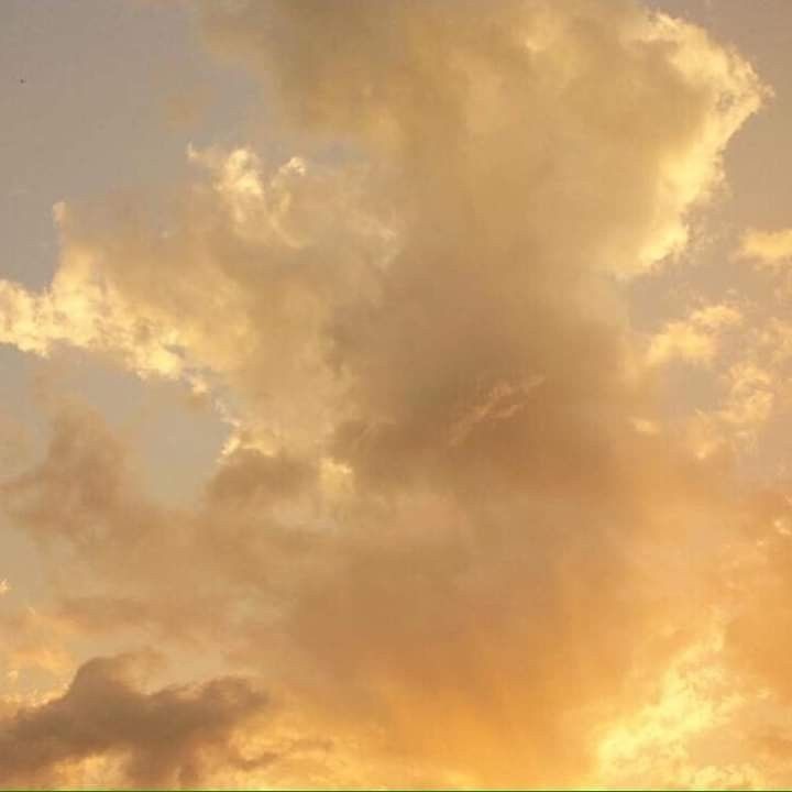 🍮 ⸝⸝ 450! tweet media