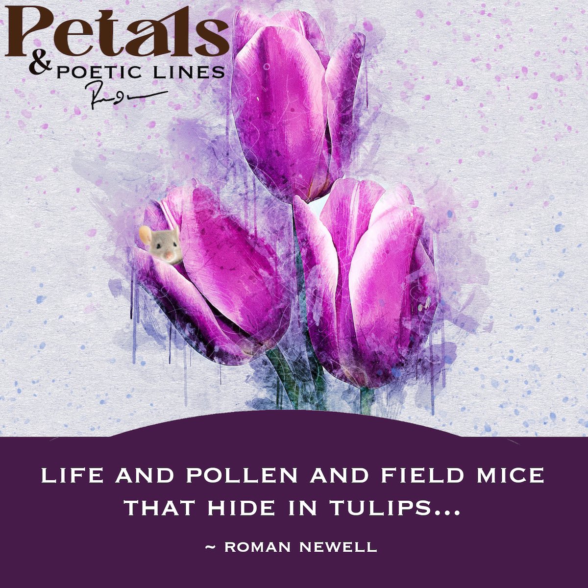 dajc_thoughts's tweet photo. I want to write 
about...

life and pollen
and field mice
that
hide in tulips...
by: Roman Newell

#mayflowers #spring #naturalworld #nature #flowers #tulips #writing #whatsonmymind #creativewriting #smashingthis #poetry #author #romannewell #poetryrecs https://t.co/Vpgrx9xtpy