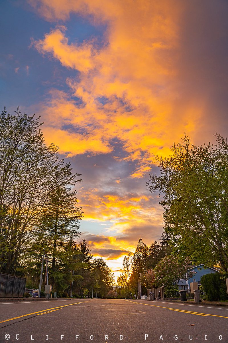 Gorgeous Sunset yesterday in Oregon 
#PhotoChallenge2023May #oregon #oregonian #sunset