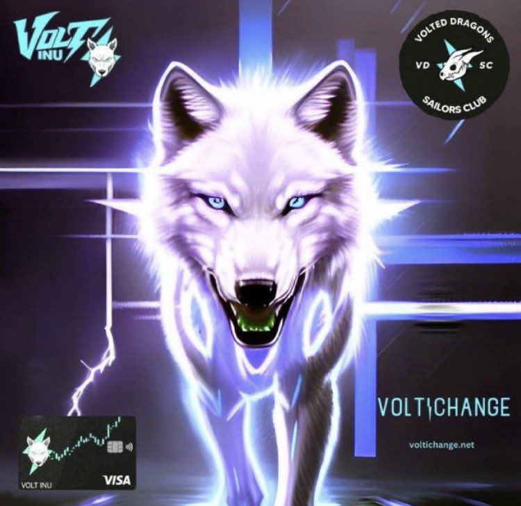 turboflashvolt's tweet photo. 75% to the next BTC halving. #Volt is solidly ready and getting even fiercer. The whole world will learn about #Volt and only those that invest in it will feel the #Voltage experience. #Volt #DavinciJeremie #TurboFlash #Voltinuofficial https://t.co/AHNr6V2xjW