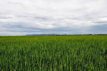 Don't miss our next climate webinar at 12pm 18 May to explore the findings from two recent emissions projects in Wimmera. Find out more &amp; register at go.vic.gov.au/3tndJ8e <a href="/BCG_Birchip/">Birchip Cropping Group (BCG)</a> <a href="/MsfMallee/">Mallee Sustainable Farming</a> <a href="/VicNotill/">Vic No-Till</a> <a href="/theGRDC/">GRDC</a> <a href="/SouthernFS/">Southern Farming Systems</a> <a href="/BOM_Vic/">Bureau of Meteorology, Victoria</a> <a href="/VicFarmers/">Victorian Farmers Federation (VFF)</a>