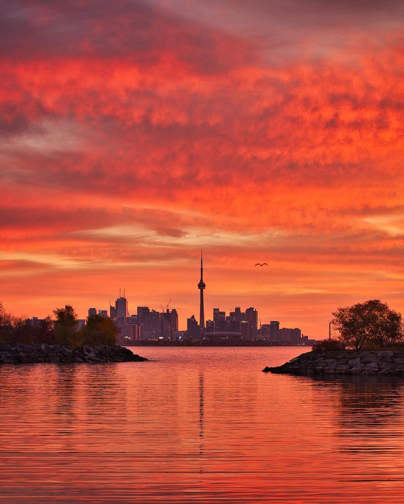 WaterfrontBIA's tweet photo. Who is ready for warmer weather 🙋♀️🙋♂️
📸 @eddiemarkhampyro on Instagram
#waterfronttoronto #atthewaterfront https://t.co/nON86BKc5E
