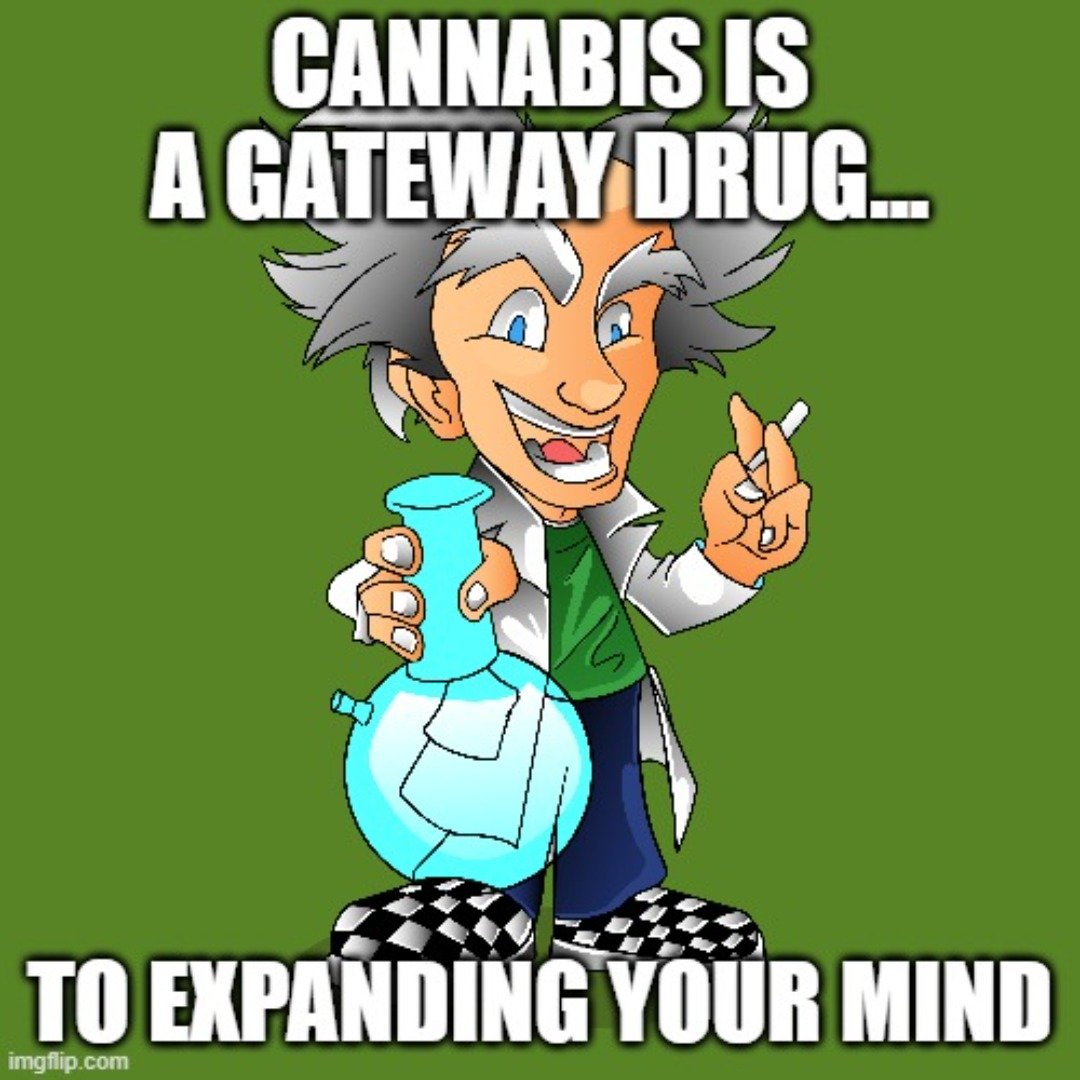Who needs a gateway to harder drugs when you can have a gateway to a more open-minded and inspired life? 🙌🏼🌿 #cannabis #gatewaytogoodness #inspiration