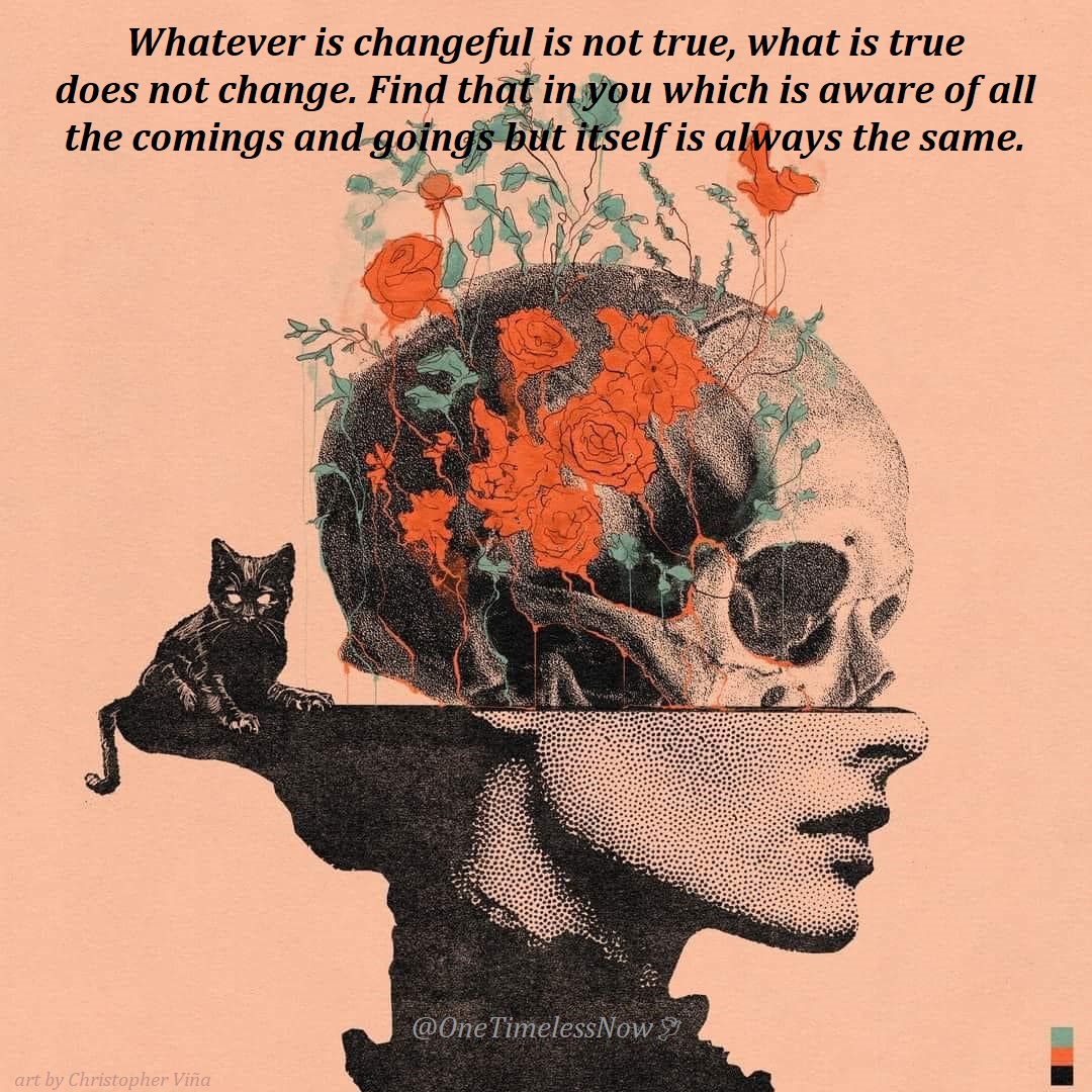 OneTimelessNow's tweet photo. Whatever is changeful is not true, what is true does not change. Find that in you which is aware of all the comings and goings but itself is always the same. https://t.co/ClbWG1GPUj