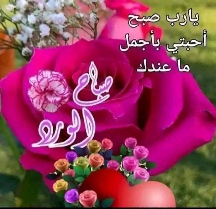 اسعد الله صباحك بكل خير احبتي الكرام