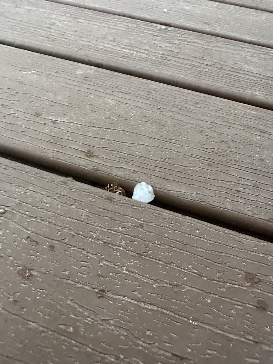 nichole_lyons's tweet photo. @NWSOmaha thank goodness we are getting some rain with this hail NW of Lincoln about a mile from Pawnee Lake. https://t.co/oYXvHhhaCh