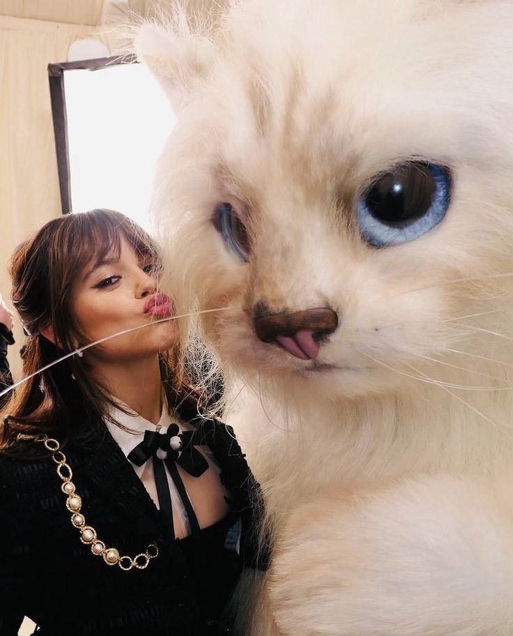 BEST OF JENNA ORTEGA tweet media