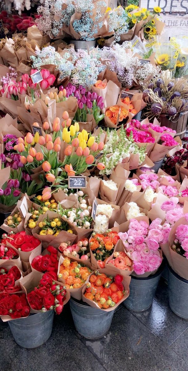 𝒐𝒍𝒊𝒗𝒊𝒂 tweet media