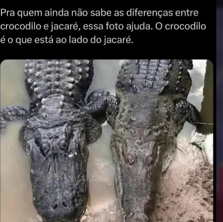 ToSem0qFazer's tweet photo. https://t.co/nTzMPXQR7N
