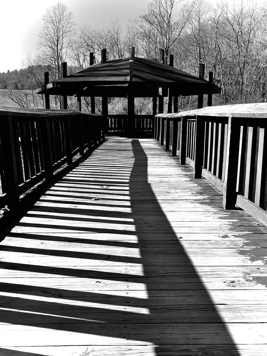 MhPhotography90's tweet photo. #photo #photography #photooftheday #photographer #photogram #photoeveryday #photographers #newpost #earth #earthisbeautiful #beautiful #beautifuldestinations #love #myphoto #photo #PhotoAlbum #photograghy #PHOTOS https://t.co/ZzOeglTrb8
