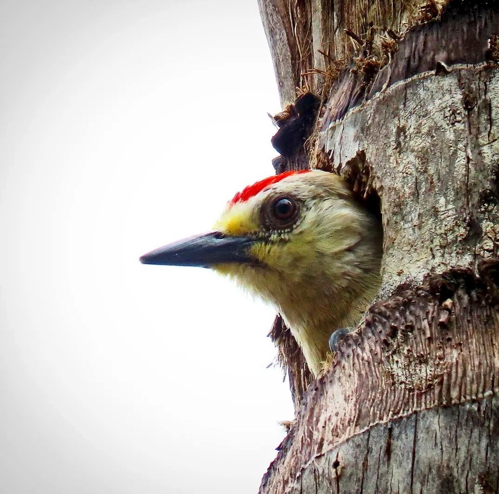 A todos estos les volaron la casa por que si! <a href="/Alcaldiapereira/">Alcaldía de Pereira</a> <a href="/CarderRisaralda/">CARDER Risaralda</a>