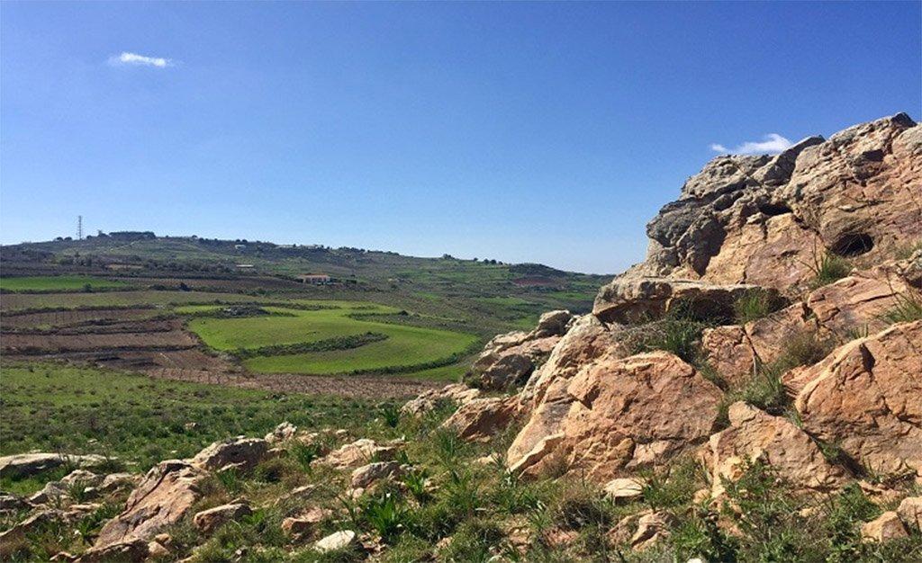 cyprusmail's tweet photo. Court recognises environmental NGOs' legitimate interest to protect nature | Cyprus Mail https://t.co/tUS84MJEtn https://t.co/GwIc6Kq9yc