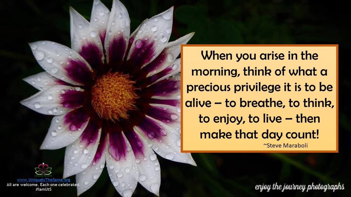 UTSORG's tweet photo. Make that day count! https://t.co/ozW6lRYRcB