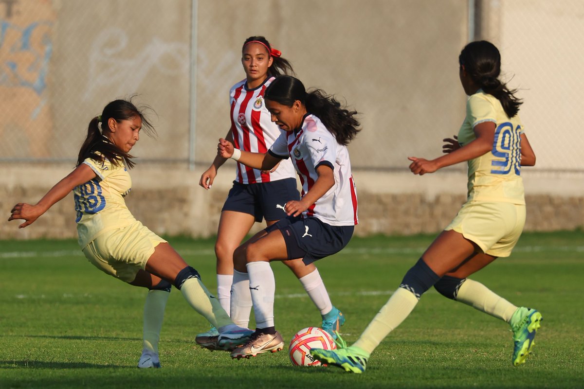 MxPasionfemenil's tweet photo. #CopaChivas #Sub15 
Xolas y América disputarán la primera final del torneo Sub15 que organizó Chivas este fin de semana en Guadalajara. 

La final se disputará en el Estadio Akron a las 17 horas, previo el juego de Chivas vs Tuzas de la Jornada 16 de la Liga. https://t.co/rPKqKDB4g5