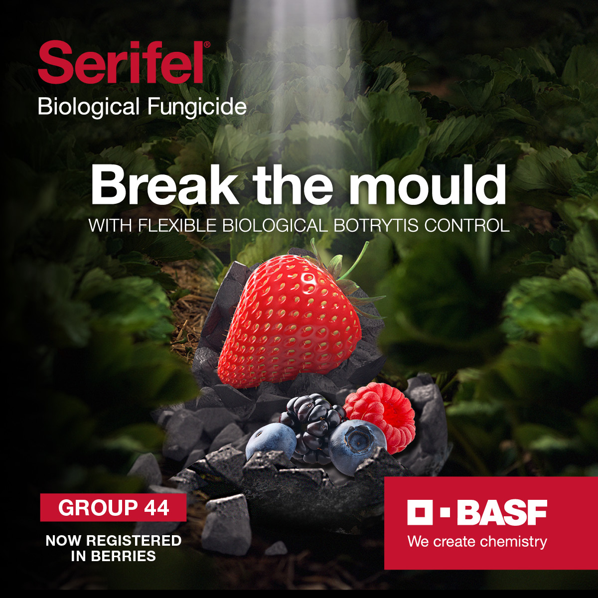BASF Agricultural Solutions Australia tweet media