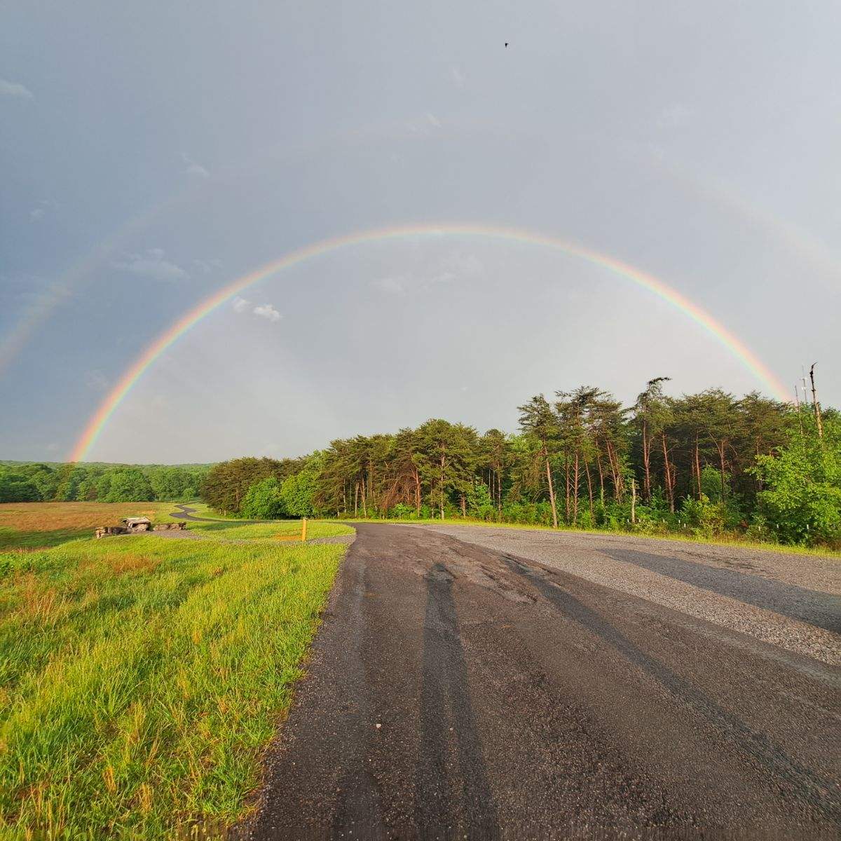 Somewhere over the rainbow is the Elk & Bison Prairie, at least it was today. Bugle Corps Volunteer, Jan Gray was in the right place today and able to see this beautiful double rainbow and get a couple amazing photos to share. #rainbows #mylbladventure