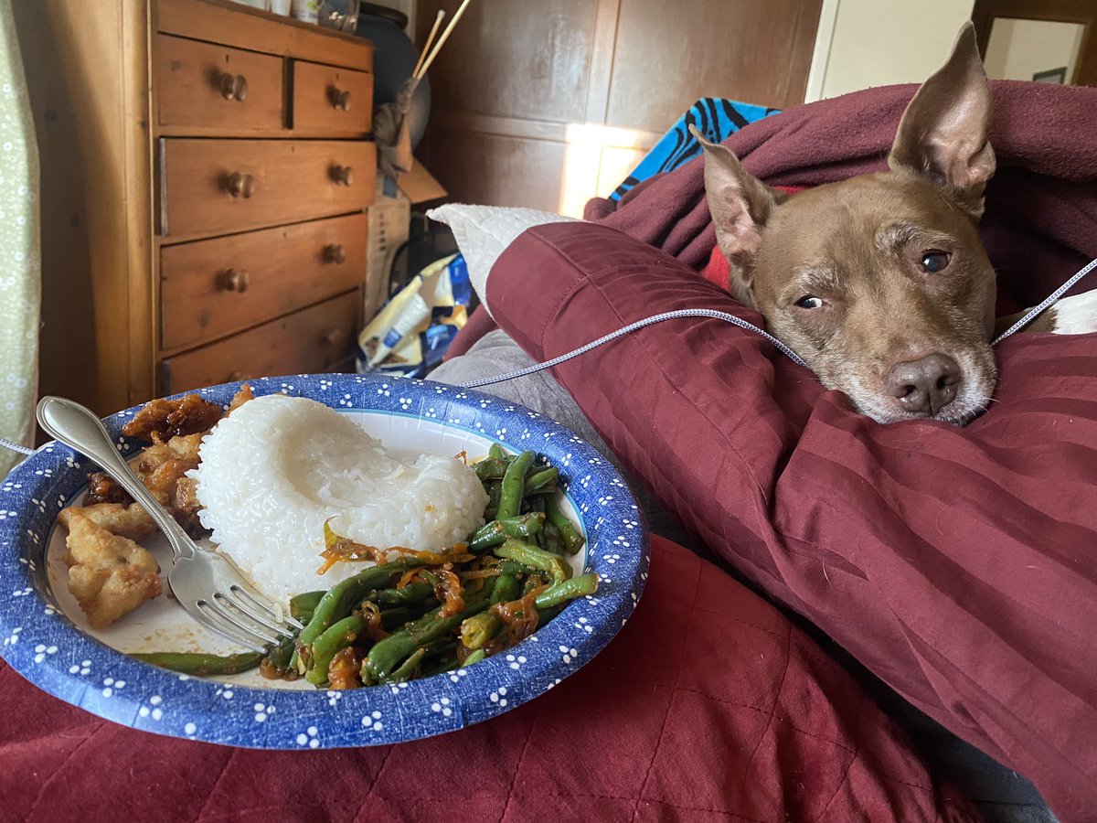 GoopyBubbas's tweet photo. She’s so good about food… https://t.co/hcQP6qu5zd