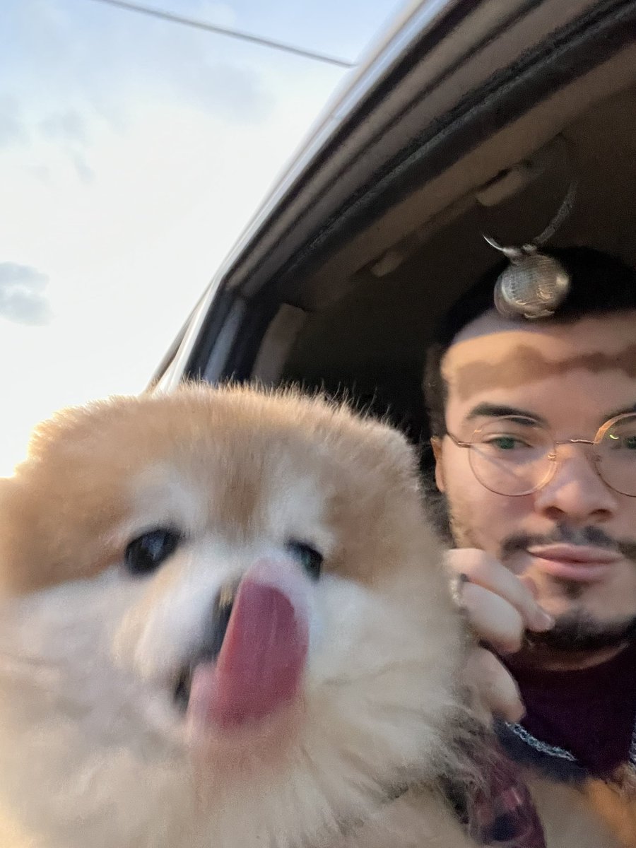 My dog got put down today and I feel so bad I wasn’t there with him in his final moments

I’m gonna miss you Shadow, rest easy ❤️💙