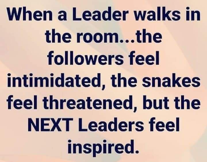 This!!!!!!!