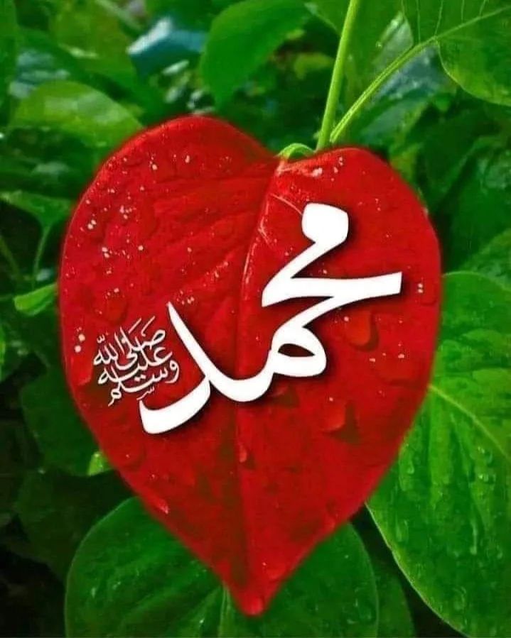 🇸🇦خــــــاااالد🇸🇦 tweet media