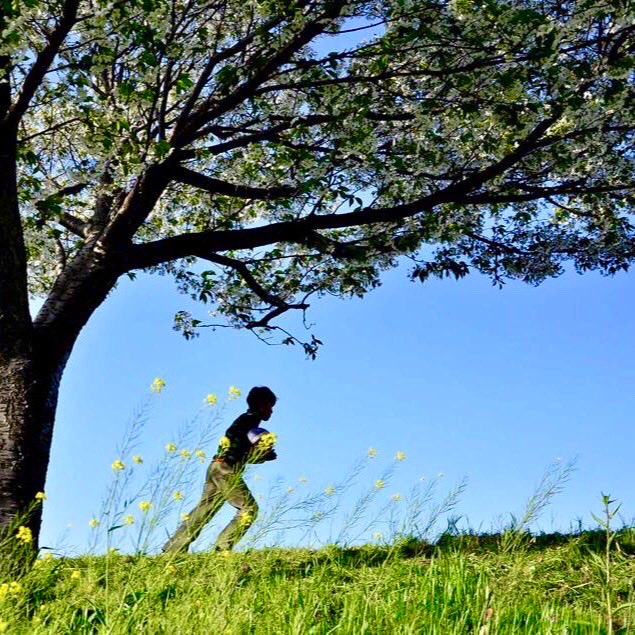 SShinyam's tweet image. 新緑の中で

#Shinyaさんの撮る写真
#soyana_art_shinya 

#synchronicity 

　　Shinya19❂86 📷