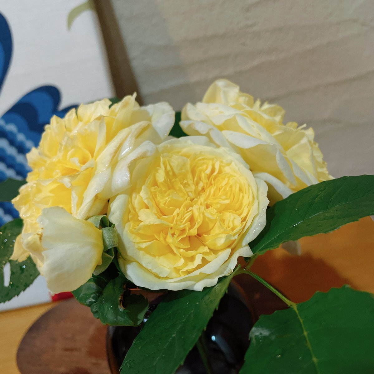 yunplant's tweet image. やっと雨が上がりましたね

雨に濡れた薔薇も好きです

#ザビルグリム
#ThePilgrim