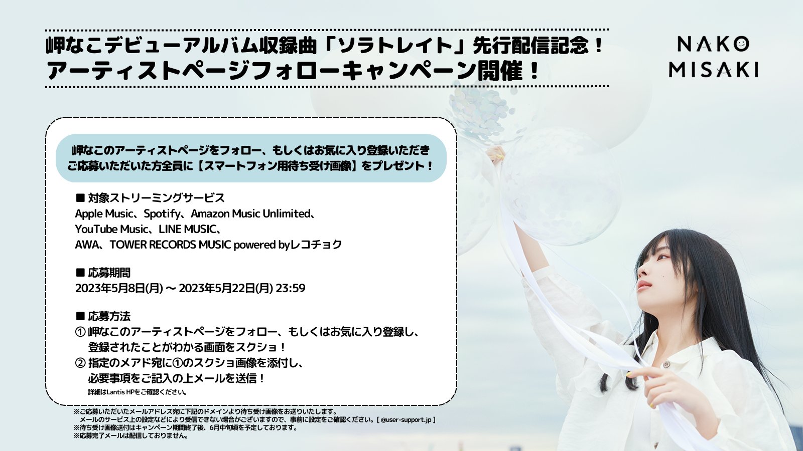 naco様 巻き付い ご確認ページ＊