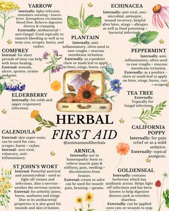DaysofNoahGen6's tweet photo. Herbal First Aid.

Healing the natural way is always best!

#naturalmedicines #firstaid 
#gardeningtips #bushcraft #gardeningtwitter #homesteading #offgrid #prepping #survivalskills #survivalism #permaculture #electroculture https://t.co/vnhnyQyJuy