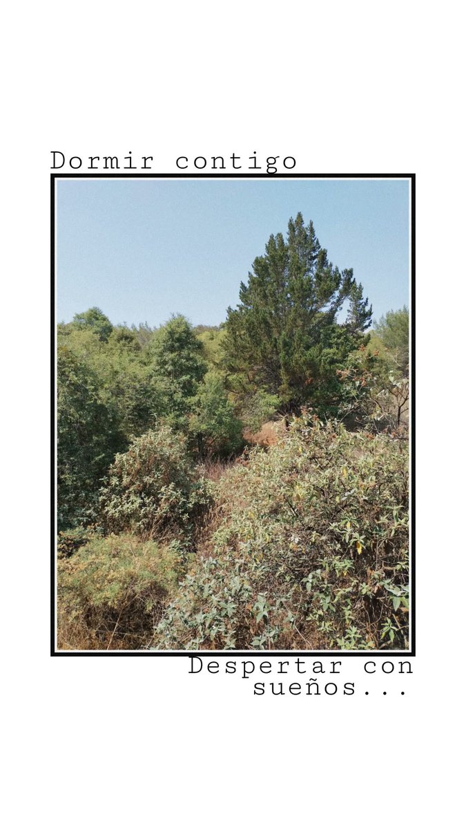 Dormir contigo
      
                       Despertar con sueños...

-Elvira Sastre Sanz