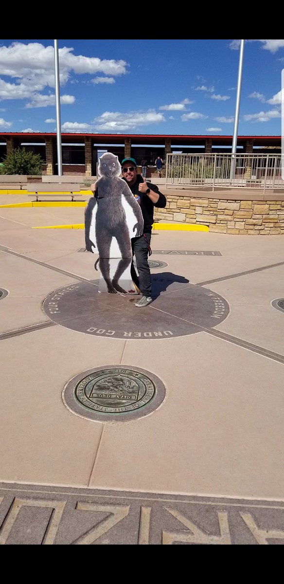 Sephinoe tweet media