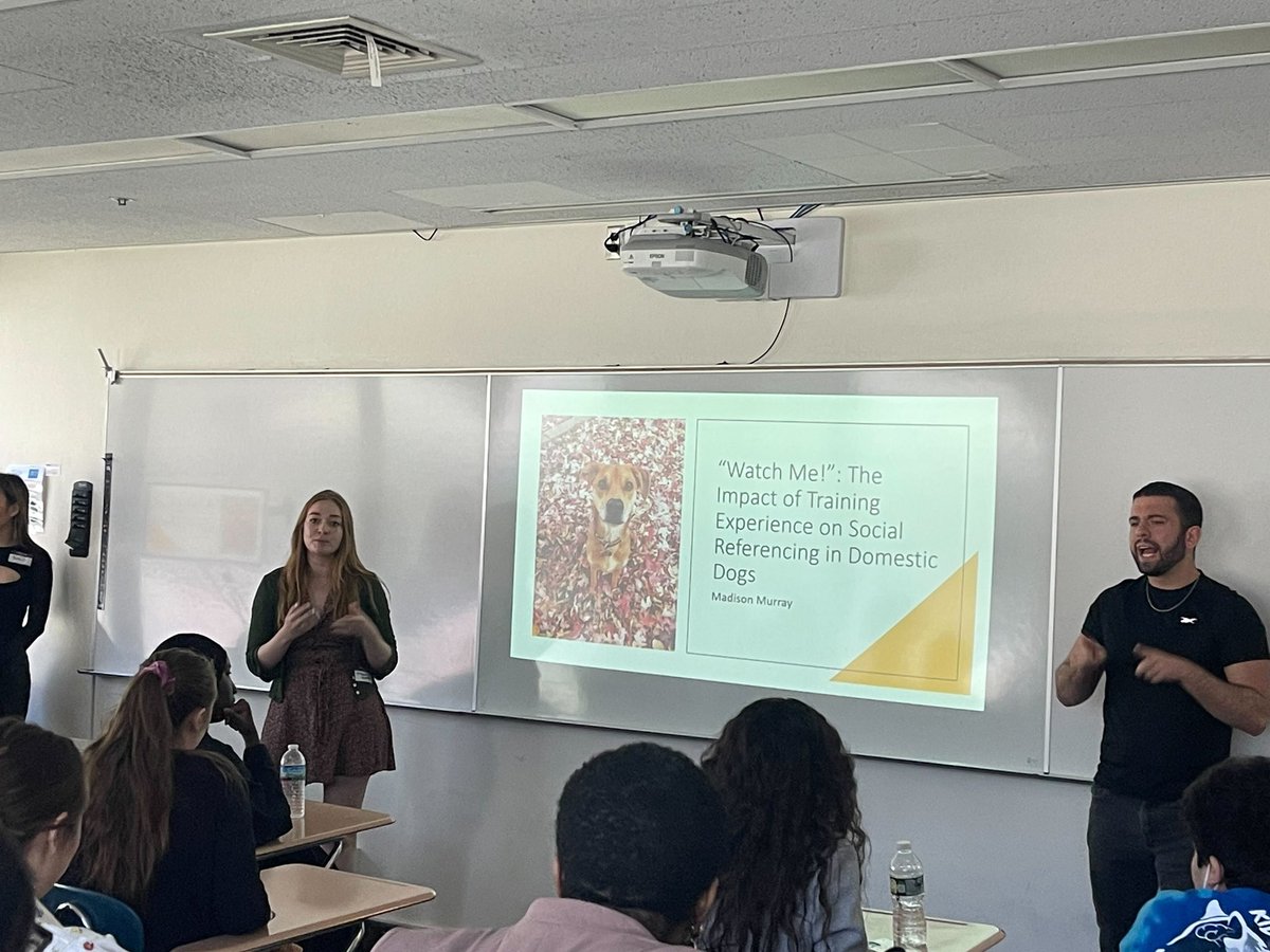 Thinking Dog Center at Hunter College tweet media