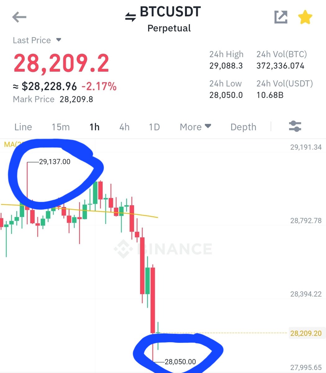 Bull 👑 tweet media