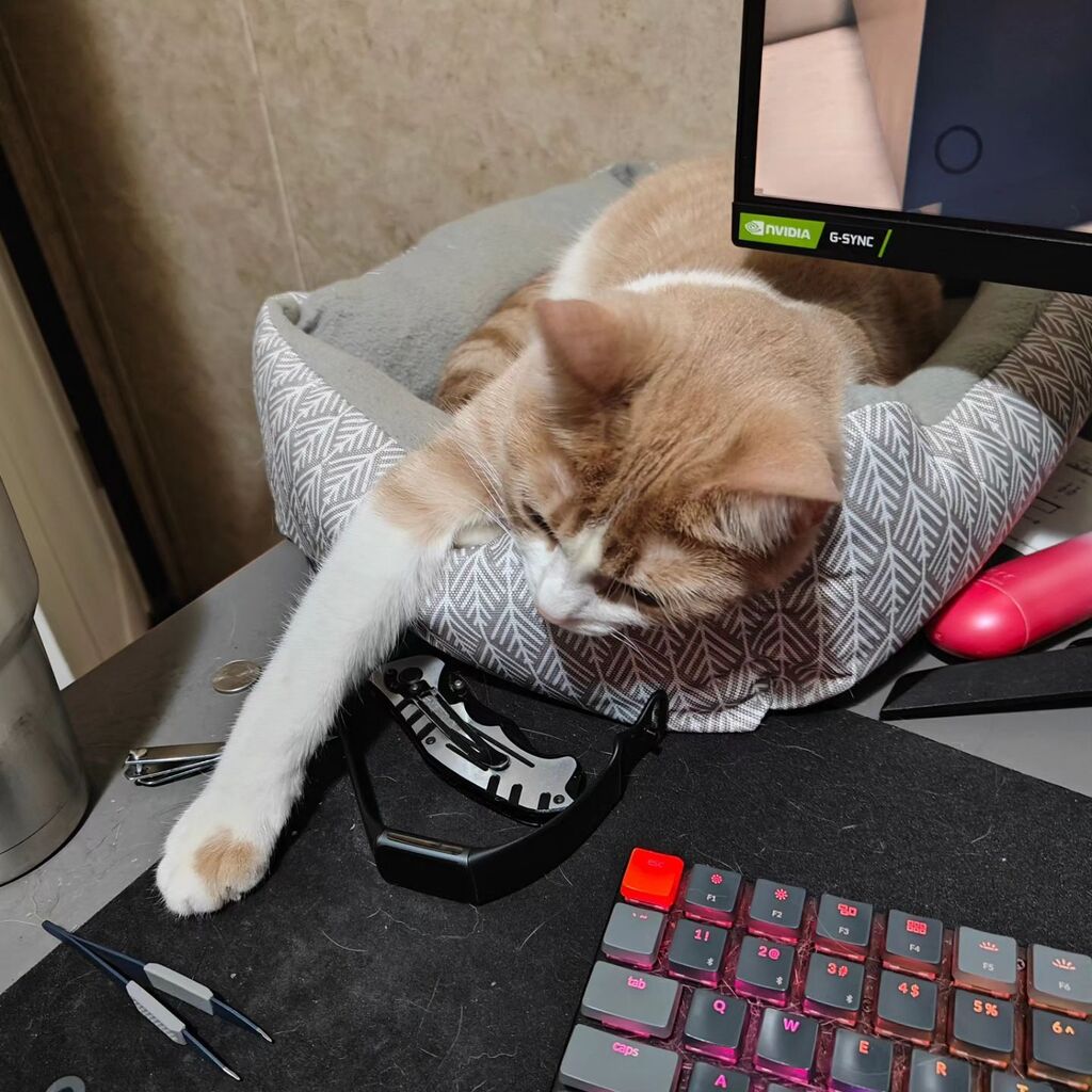 flufflybuttons's tweet photo. He won't stop touching things. #cat https://t.co/xUJlmd49Yu https://t.co/OyhRVJTARg