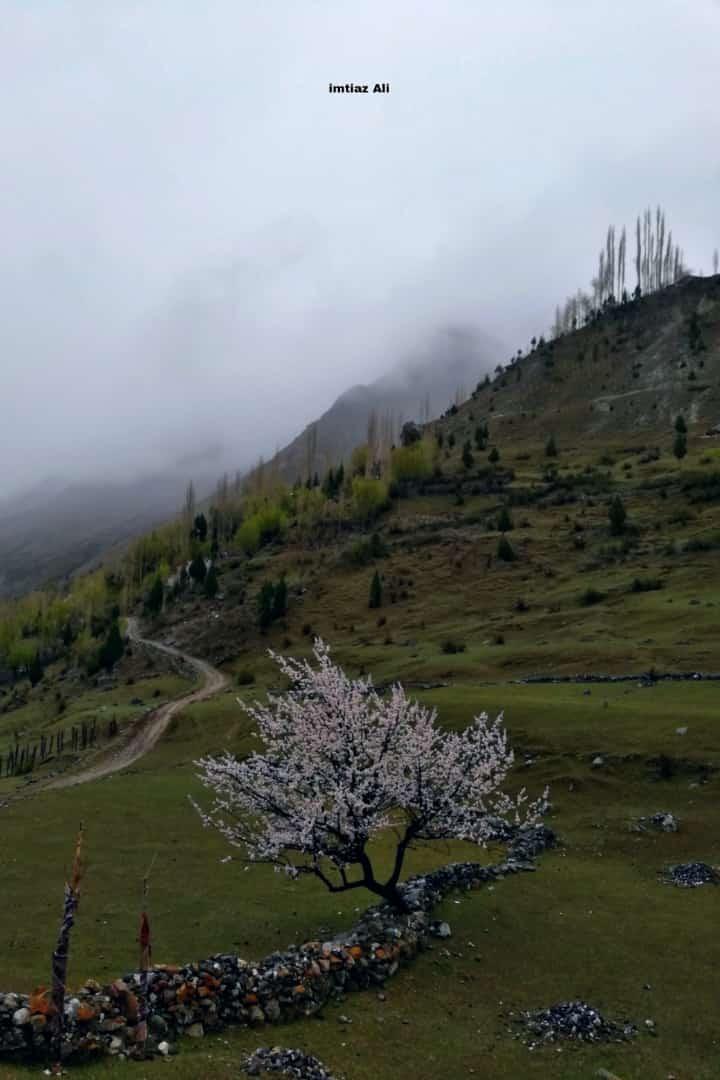 doctor_saq's tweet photo. Olgo tormik Baltistan ❤ https://t.co/ZRCOnMV4LV