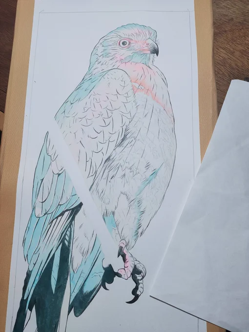 現段階、なんの鳥だか伝わらないやろなぁという状態