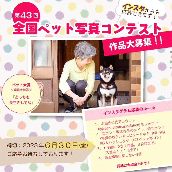 JPCA_org's tweet photo. 【第43回 #全国ペット写真コンテスト 】
毎年、当協会はペットを大切にする精神を培うことを目的に、人とペットとのふれあいの楽しさや、動物愛護の心などが表されている写真を募集しています。 応募締切は６月30日です。ご応募をお待ちしております。 https://t.co/I7MbL59viC https://t.co/Q6y6JAH9fi