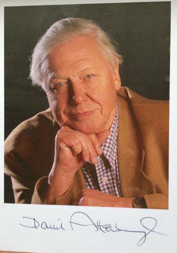 Wishing Wildlife National Treasure Sir David Attenborough a Happy 97th Birthday. I wrote to him a few years ago and he sent me this signed photo.#SirDavidAttenborough