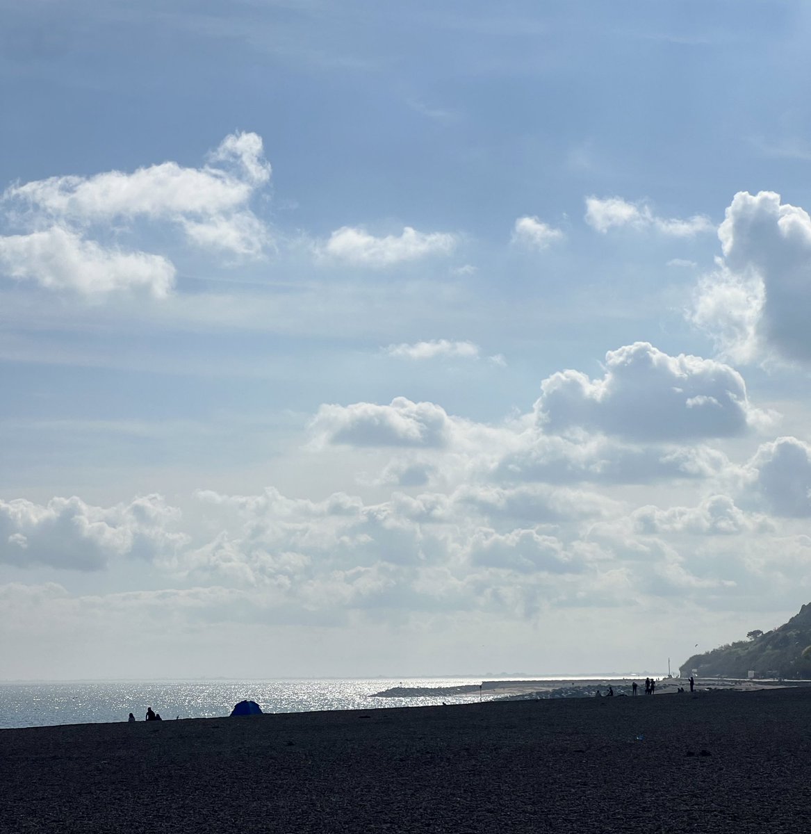 Sophie Strong tweet media